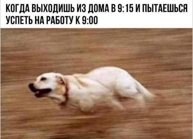 �������� ���������� ���� �3945 (30 ����)