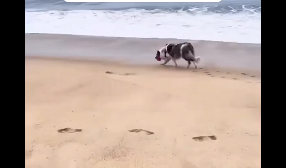 �� ��� �� ������ (�����)