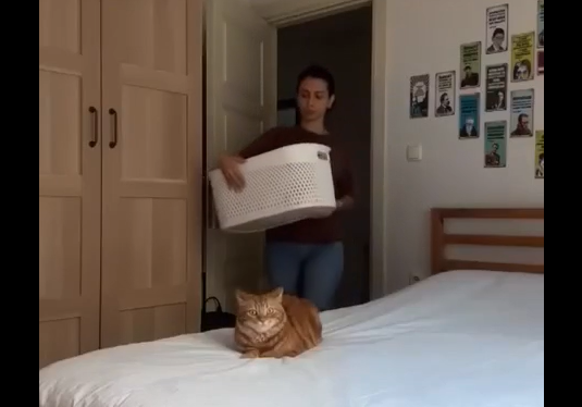 �� ������ ��� ���������� ������ ����� � ������ ���� ������ ���� (�����)
