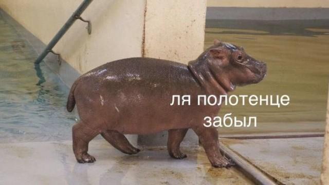 ������� �������� (15 ����)
