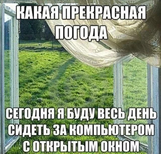 �������� ���������� ���� �3946 (30 ����)