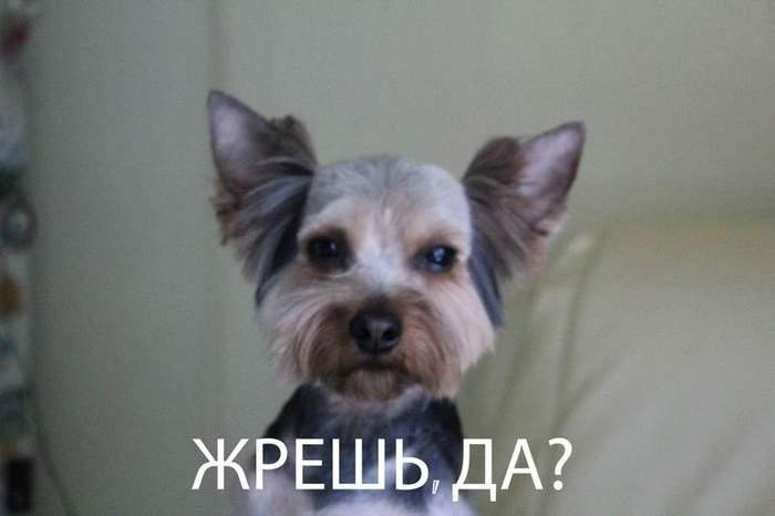 ������ �� ���� (15 ����)