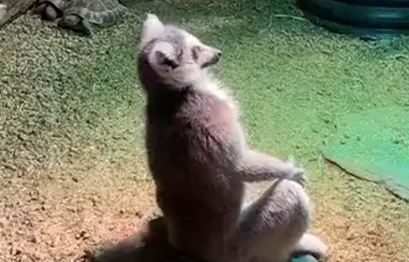 �, ��� �����, ��� ��� ���� (�����)