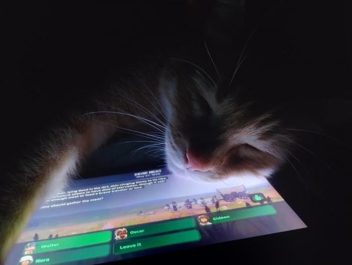 ���� � �� ������� (25 ����)