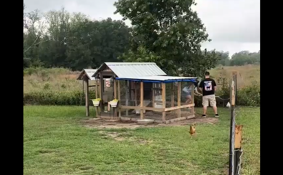 ������, ��� ����� ������ � ������� (�����)