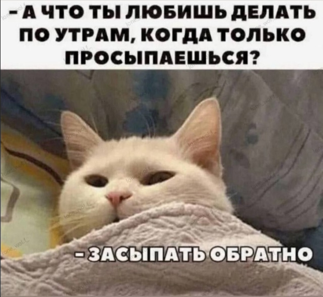 ������� �������� (15 ����)