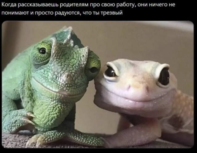 ������ ����� � ���� �� ���� (15 ����)