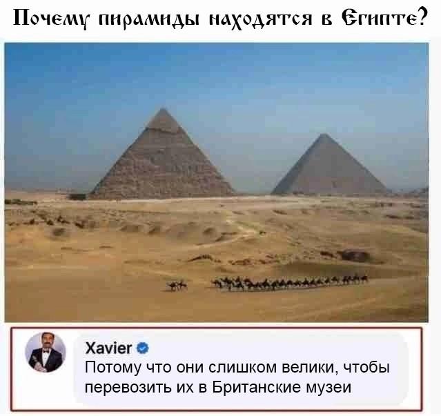 ������� ���� (15 ����)