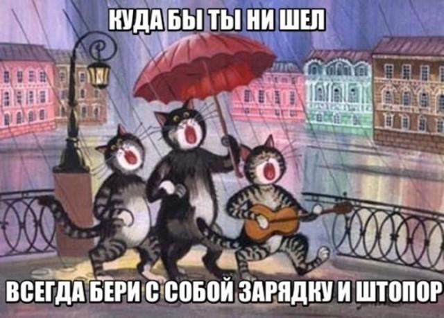 ������� �������� (15 ����)