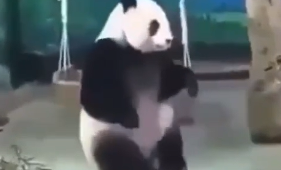 ����� ���������� �����... (�����)