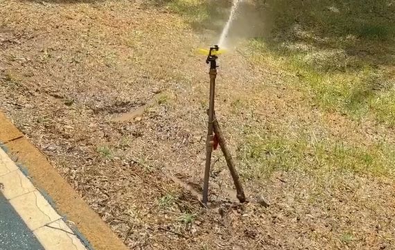 ����������� ������������� ������������� ������������ (�����)