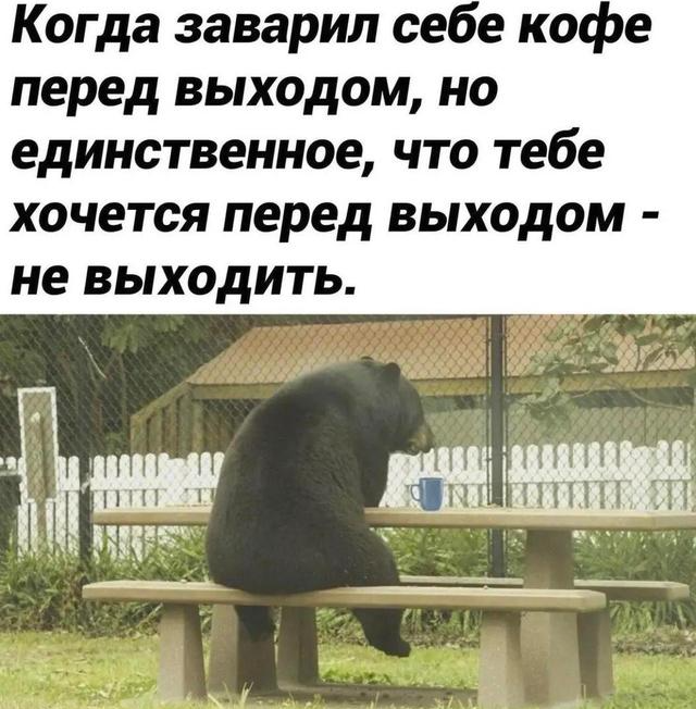 �������� ������������: ������� ��������� ���� � ����������� �� ������ ����� ���������� (7 ����)