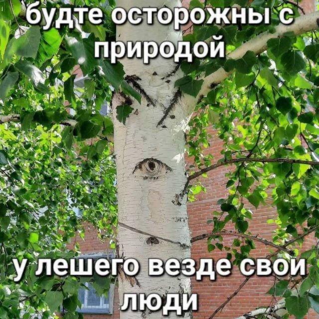 ������� ���� (15 ����)