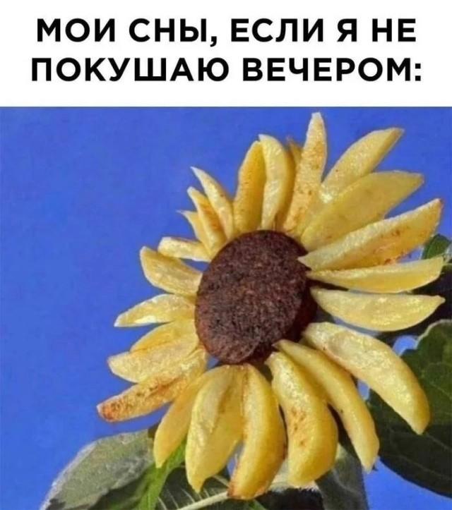 �������� ���������� ���� �3951 (30 ����)