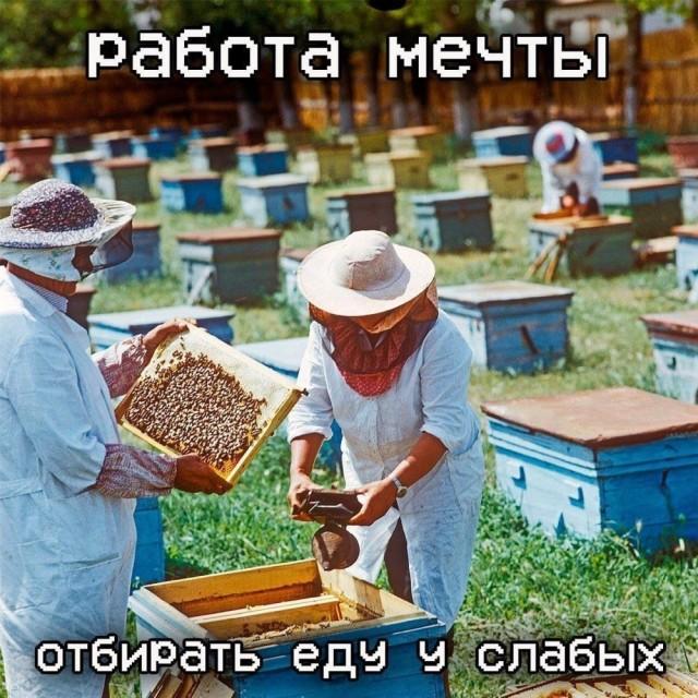 ������� �������� (15 ����)