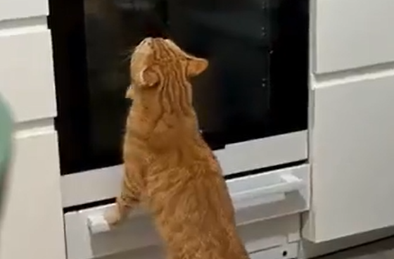 �� �� �� � ����� (�����)