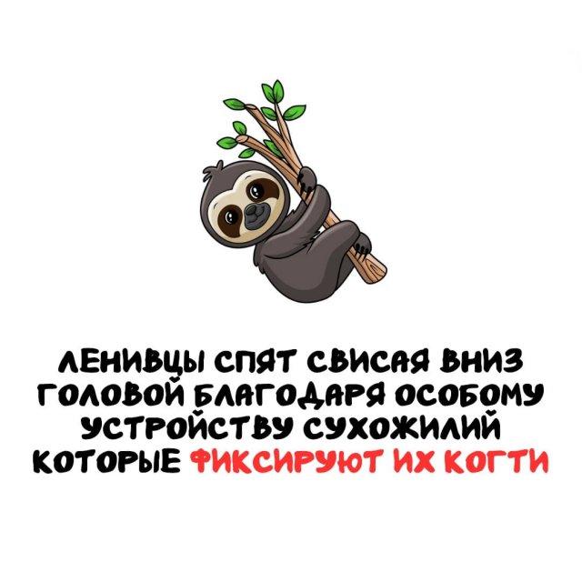 ���������� ����� �� ��� ������ ����� (15 ����)