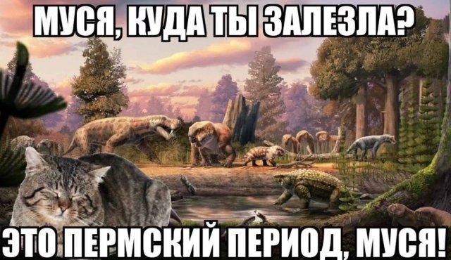 ������ ����� � ���� �� ���� (15 ����)
