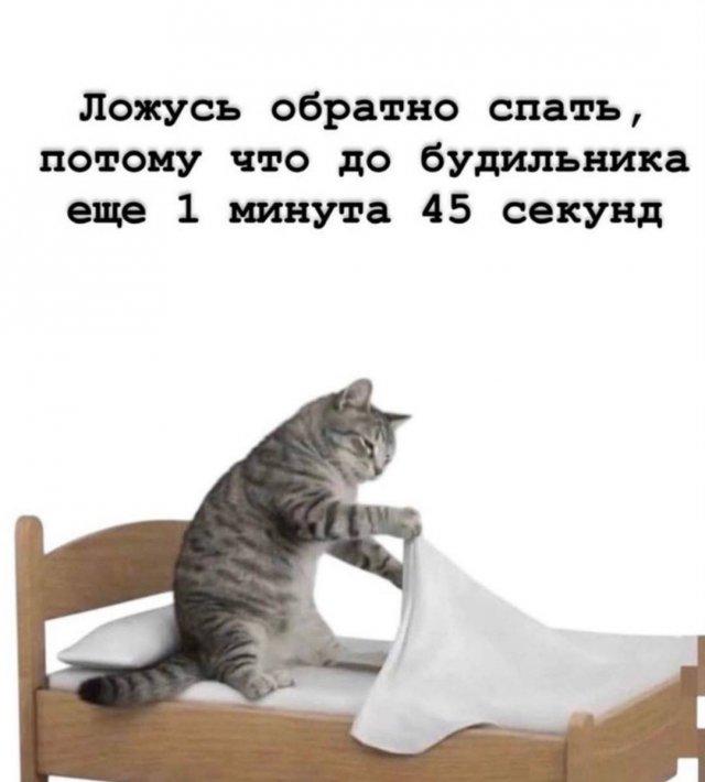 �������� ���������� ���� �3952 (30 ����)