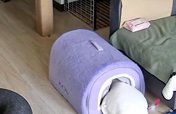 �� ��� � ���� ��� ���� ����������? (�����)
