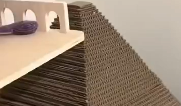 ����� ������ ���� ��������, ����� ������, �������� �� �� ���� �������������� ����� (�����)