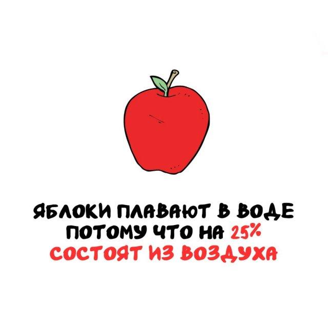 ���������� ����� �� ��� ������ ����� (15 ����)