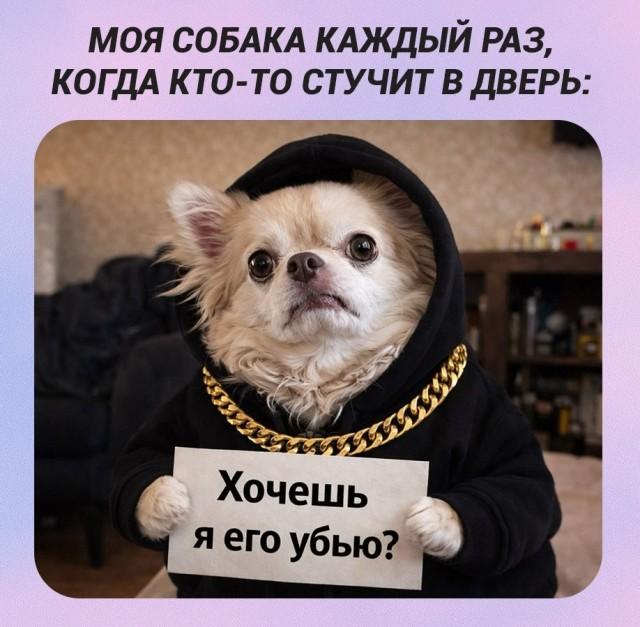 ������� �������� (15 ����)