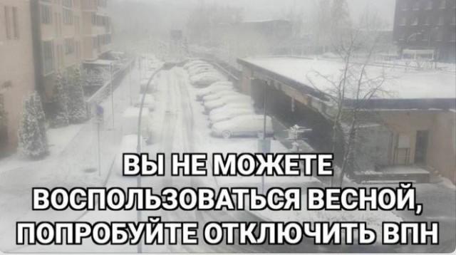 ������� ���� (15 ����)
