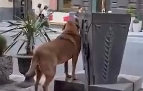 ����� ����� ������� ����� ������, ��� ����� ������ ��������� (�����)