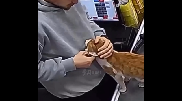  �������� ��� ������ ���� ������� � �������, ����� �������� � ��������� (�����)
