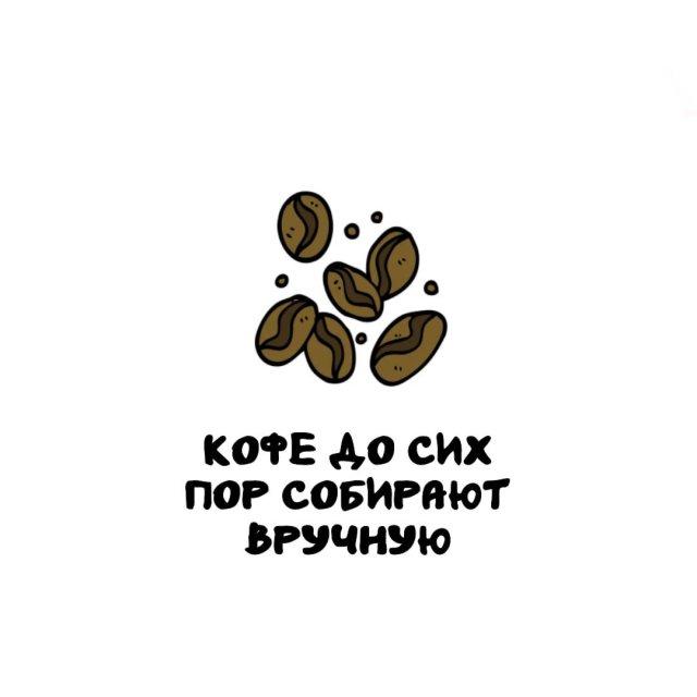 ���������� ����� �� ��� ������ ����� (15 ����)