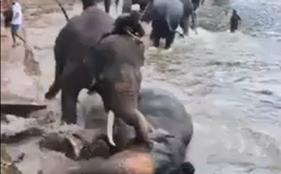 � ����� ������� �������� � ������������� ������� � ����� (�����)