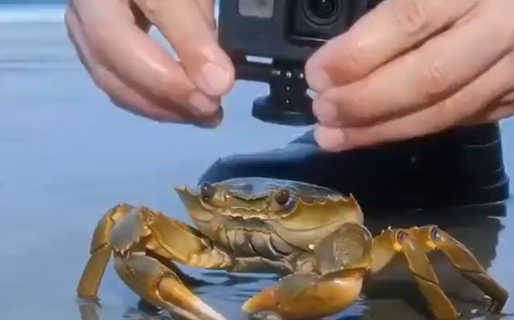  ������ ��������� ������ � �����, ����� ������, ��� ��� ����� � ����� ����� (�����)