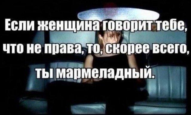 ������� ���� (15 ����)