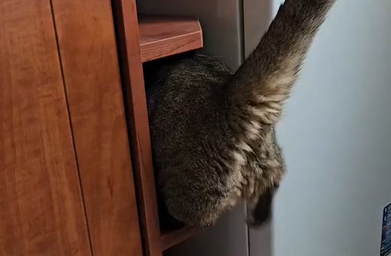 ������� �������� �� (�����)
