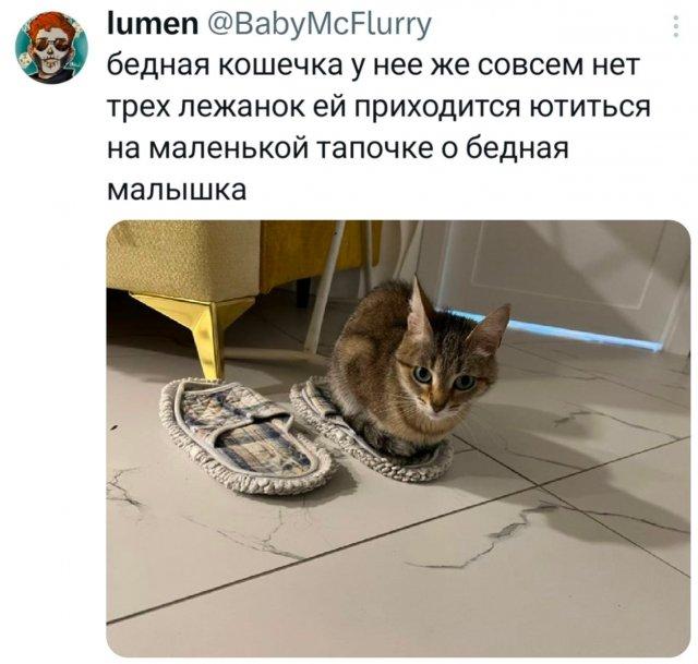�������� �������� ������ ��� ���� (15 ����)