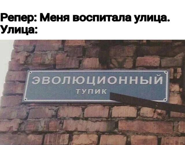 ������� ���� (15 ����)