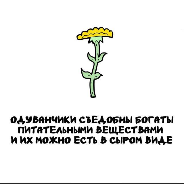���������� ����� �� ��� ������ ����� (15 ����)