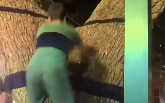 �� ������ �������� � ��������! (�����)
