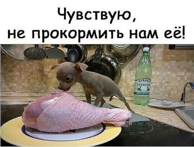 ������ ����� � ���� �� ���� (15 ����)