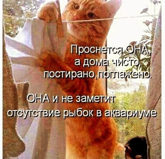 �������� ���������� ���� �3958 (30 ����)
