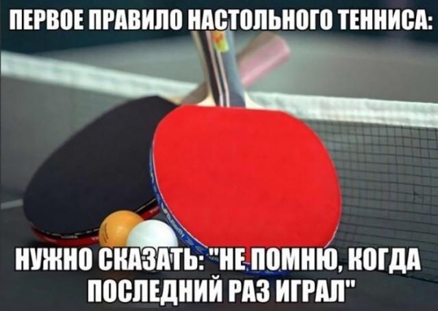 ������� ���� (15 ����)