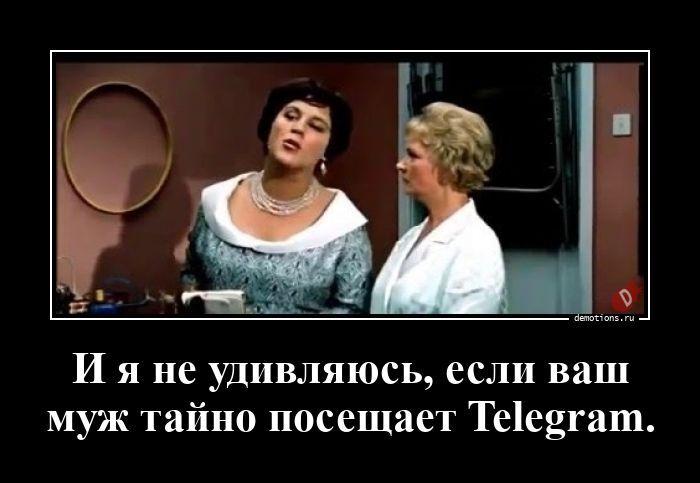 ������������ �3800 (20 ����)