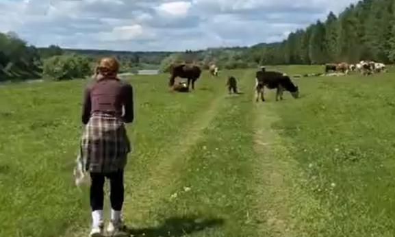 ��������� ������� (�����)