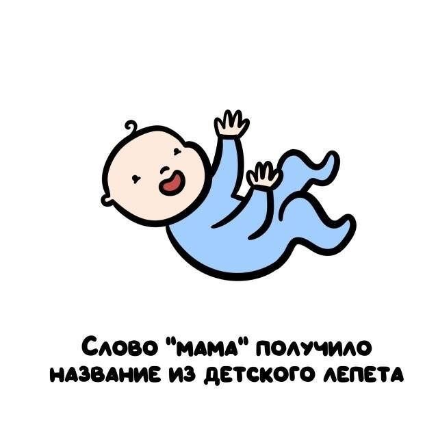 ���������� ����� �� ��� ������ ����� (15 ����)