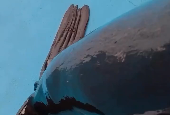 � ����� ��� ������� (�����)