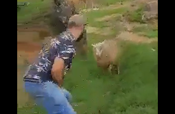 ������� �� ���������� (�����)