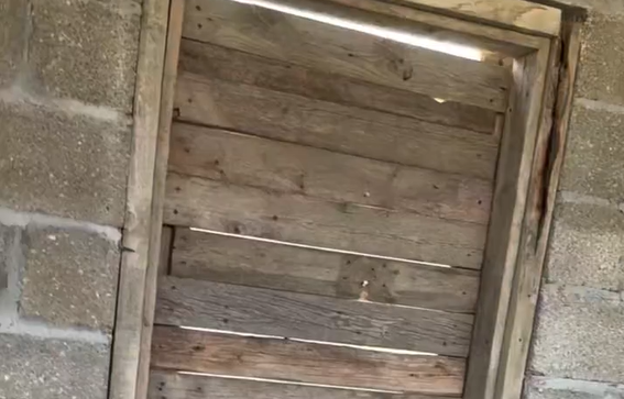 ������ ����� ���� ������� (�����)
