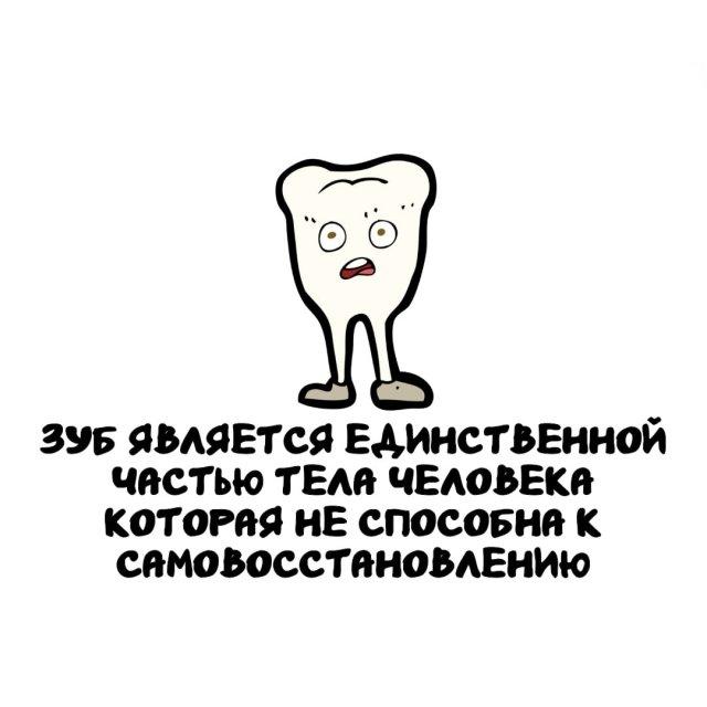���������� ����� �� ��� ������ ����� (15 ����)