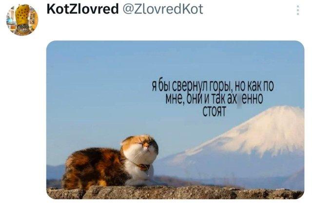 �������� �������� ������ ��� ���� (15 ����)